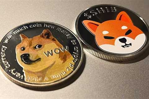 Is this the maximum pain threshold for Dogecoin and Shiba Inu?