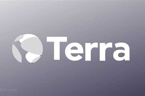 Big Terra Investor Mike Novogratz Finally Speaks Out On UST/LUNA Disastrous Fallout