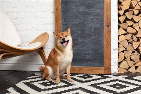 Shiba Inu Is Down 85%, But Here's How It Could Recover - Shiba Inu Market News