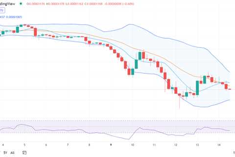 Shiba Inu price analysis: SHIB crashes further to the $0.00001169 mark - Shiba Inu Market News