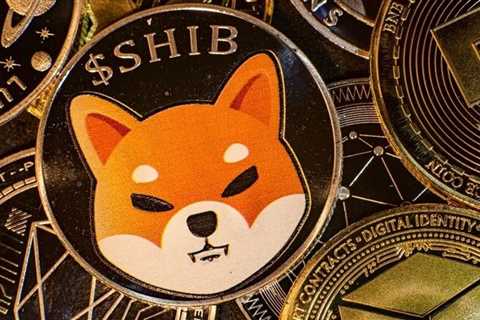 Shiba Inu and Dogecoin Lose Momentum - Shiba Inu Market News