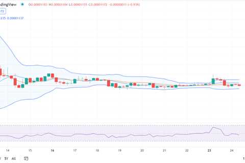 Shiba Inu price analysis: SHIB declines to $0.00001172 after a bearish run - Shiba Inu Market News