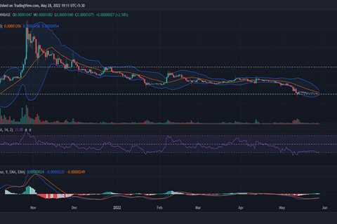 Shiba Inu [SHIB] holders need these tips to sail through the crypto winter - Shiba Inu Market News