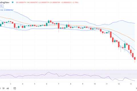 Shiba Inu price analysis: SHIB crashes to $0.00000769 - Shiba Inu Market News