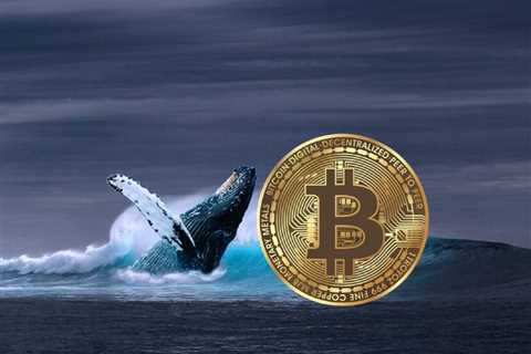 Here’s How Much the ‘Biggest Bitcoin Whale’ Purchased BTC During the Dip