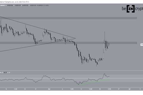 SHIBA INU (SHIB) Leads Dogecoin (DOGE) With 42% Increase Since June 18 - Shiba Inu Market News