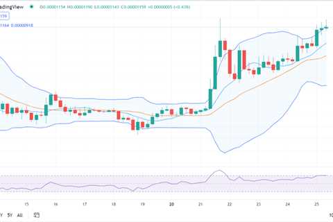 Shiba Inu price analysis: SHIB spikes to $0.00001164 after bullish trend - Shiba Inu Market News