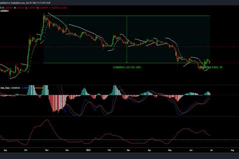 Can Shiba Inu's dissociation from Bitcoin help SHIB rally in Q3 - Shiba Inu Market News