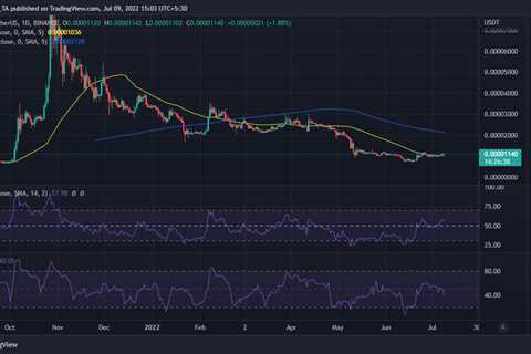 Shiba Inu whales are buying SHIB, but is the whale pressure enough for a bull run? - Shiba Inu..