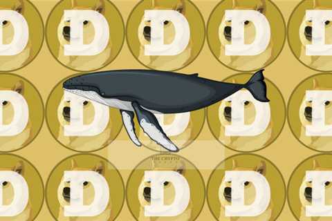 Dogecoin Is Now Among The 10 Most Bought Coins By The 100 Biggest Whales On Binance Chain – The..