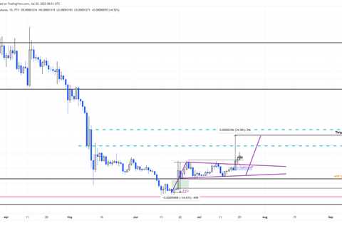 Shiba Inu price steals the spotlight as SHIB bulls take charge - Shiba Inu Market News