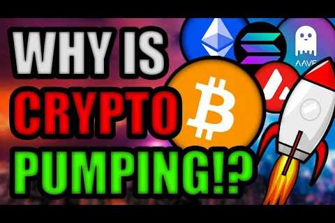 Why Is The Crypto Market Pumping? Is This Bitcoin Rally The “Real One”? [Aave, Solana, Celsius]