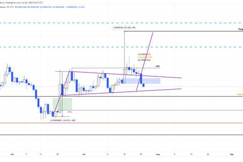 What will happen to Shiba Inu price and holders after SHIB bears tear through this level? - Shiba..