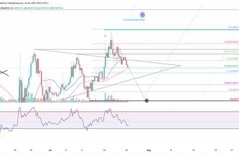 Did breakout bulls get it wrong? - Shiba Inu Market News