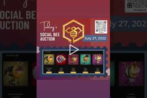 The Social Bees Action For Day 55