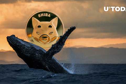 SHIB Beats MATIC, LINK, MANA as Number 1 Asset for Whales: Report - Shiba Inu Market News