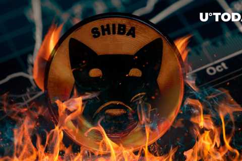 4.76 Billion SHIB Burned in July as Staggering Amount of SHIB Sent to Dead Wallets