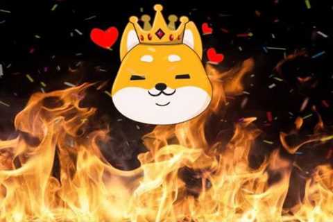 Baby Doge Coin (BabyDoge) Burns Another 1 Quadrillion Tokens Worth $1.3 Million – The Crypto Basic