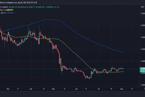 Shiba Inu's new feat might leave investors mesmerized - Shiba Inu Market News