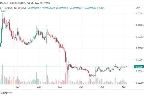 Shiba Inu (SHIB) Goes Green As Binance Visa Card Onboards Meme Coin - Shiba Inu Market News