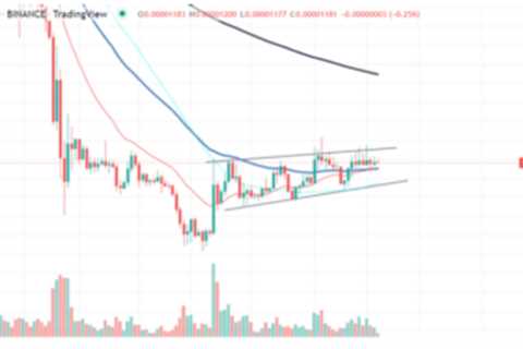 Shiba Inu Displays Surprising Price Movement – Can SHIB Ditch The Flatline? - Shiba Inu Market News