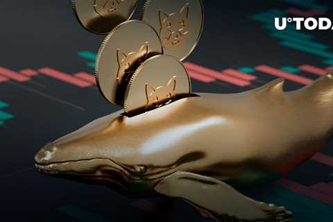 Shiba Inu Whales' Trading Volumes Surge by 511% as Top Holders Reposition - Shiba Inu Market News