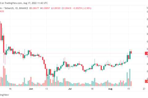 Bitcoin Looses Ground While Dogecoin Metrics Soar