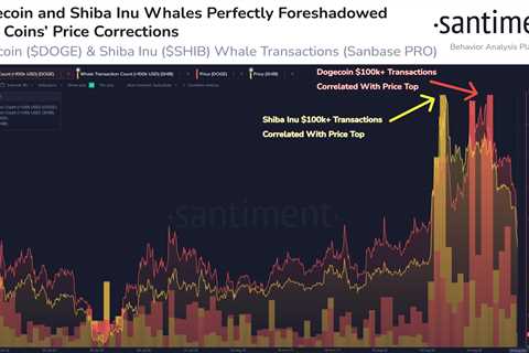 Dogecoin and Shiba Inu bleed as whales abandon ship at the top - Shiba Inu Market News