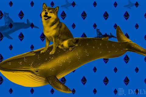 Shiba Inu (SHIB) Becomes #1 Crypto Among Ethereum (ETH) Whales: Here’s Why - Shiba Inu Market News