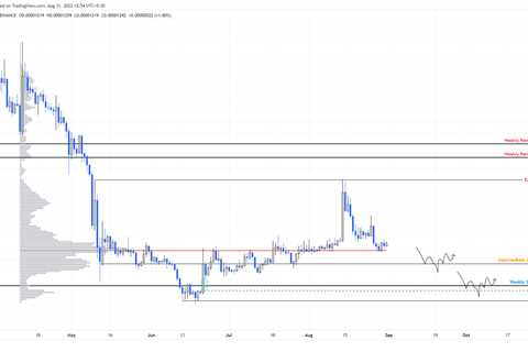 Shiba Inu price may provide a once-in-a-bear-market opportunity