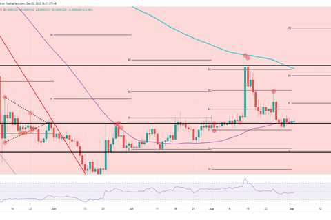 should bulls stay or should they go? - Shiba Inu Market News