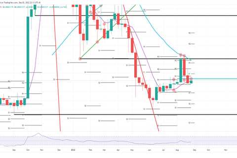 Shiba Inu pulls a bear trap but needs to watch out for next week - Shiba Inu Market News