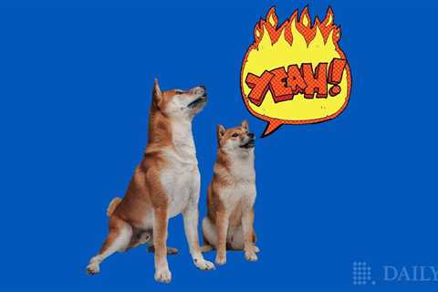 Shiba Inu (SHIB) Presents Fireside Chats On Discord As SHIB Burn Rate Intensifies - Shiba Inu..