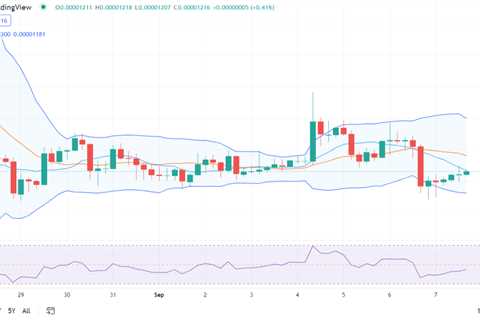 Shiba Inu price analysis: SHIB gains value at $0.000001215 - Shiba Inu Market News