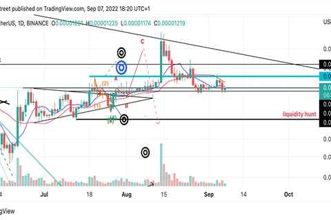 A 40% decline targeting $0.00000700 - Shiba Inu Market News