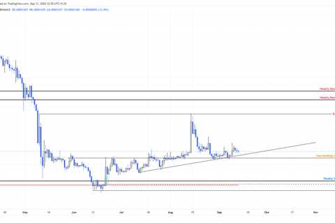 Shiba Inu price edges closer to a 25% crash - Shiba Inu Market News