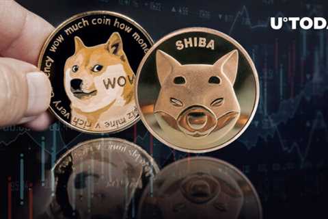 Shiba Inu-Dogecoin-Led Meme Economy Sees 16% Jump in Trading Volumes Amid Market Drop