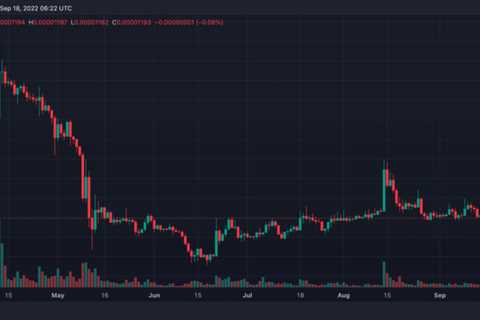 Shiba Inu Coin (SHIB) Price Prediction 2025-2030: Is a >2800% hike impossible by 2030?