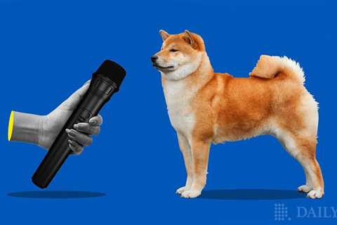 Shiba Inu’s (SHIB) Lead Developer Lines Up Major Shiba Eternity Announcement - Shiba Inu Market News