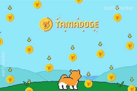 Shiba Inu vs Tamadoge - head to head - Shiba Inu Market News