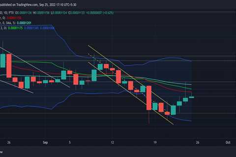 Shiba Inu [SHIB] buyers may want to consider this before taking a long position - Shiba Inu Market..