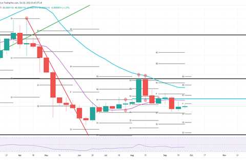 Shiba Inu price is broken as it does not represent current market turmoil - Shiba Inu Market News