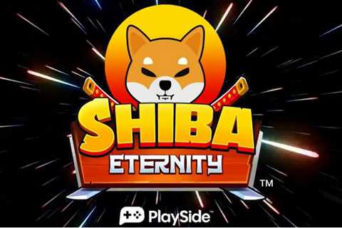 Darling Crypto: Shiba Inu Reclaims Top Spot As ETH Whales' Favorite - Shiba Inu Market News