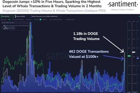 Dogecoin (DOGE) Whales Are Preparing For Elon Musk’s Twitter Takeover