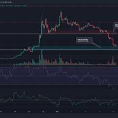 Dogecoin enters a zone of support; is it the right time to go long