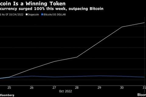 Dogecoin’s Rally Reminds Crypto Bulls of Simpler Times