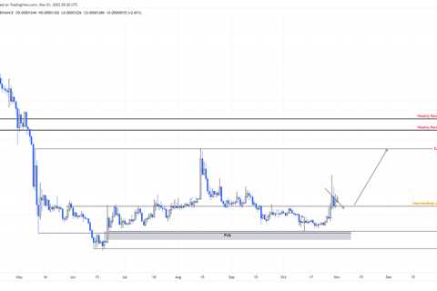 Why Dogecoin-killer Shiba Inu Coin is primed for a 40% rally - Shiba Inu Market News