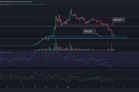 Dogecoin enters a zone of support; is it the right time to go long