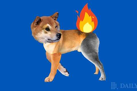 Shiba Inu (SHIB) Reclaims Crucial Support As SHIB Burn Rate Soars 656% - Shiba Inu Market News