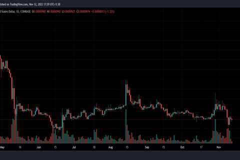 Shiba Inu Coin (SHIB) Price Prediction 2025-2030: What are the chances of SHIB reaching $1? - Shiba ..